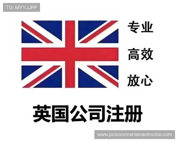 K8体育注册流程详解帮助新手快速完成账号注册与登录指南