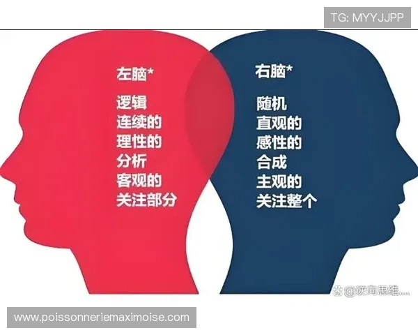 凯时人生就是赌：网络游戏中的风险管理技巧帮助玩家理性决策