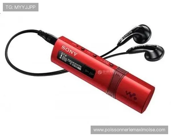 凯发体育app手机下载官网客户服务支持，及时解决用户在使用中遇到的各种问题